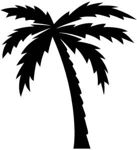 palm_tree-11937